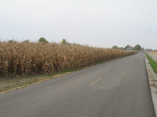 Property photo 1 - 40 Acres offered in 1 TractLand Auction